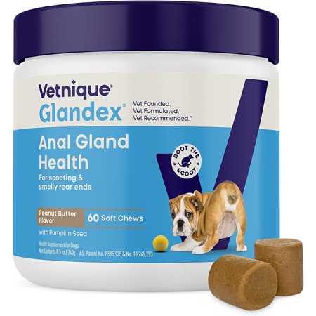 Anal Gland