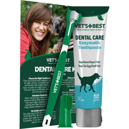 Dog Toothp